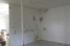 WA_Image_1